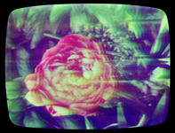 0047