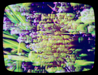 0109