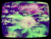 0224