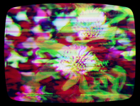 0233